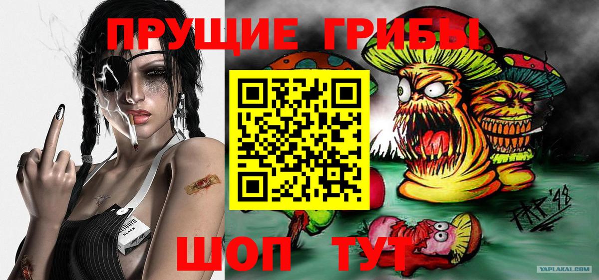 Галлюциногенные грибы MAGIC MUSHROOMS Калининград