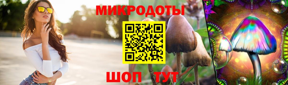 Галлюциногенные грибы Psilocybe  Псилоцибиновые грибы прущие грибы  Вход с VPN  Калининград 